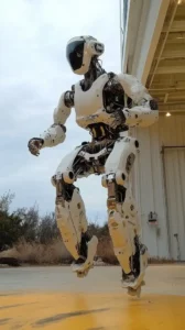 atlas humanoid robot